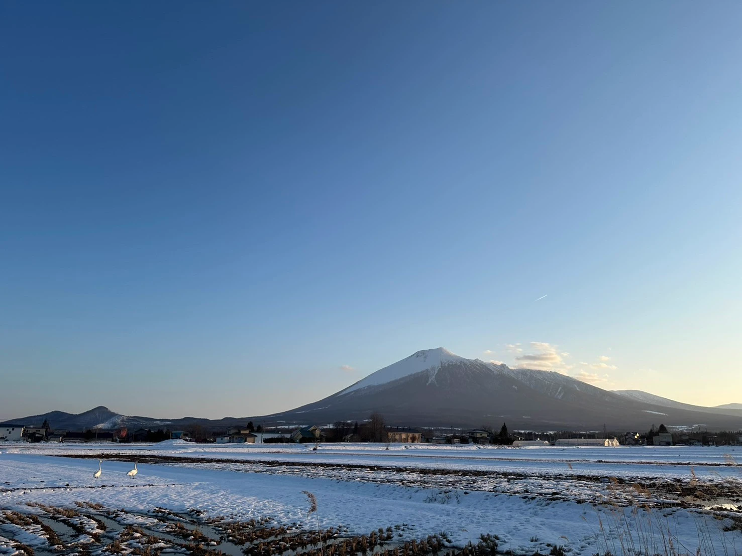 プライバシーポリシーの背景画像